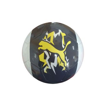 Puma Neymar Jr Voltage Graphic Ball