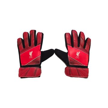 Liverpool Goalkeepers Gloves