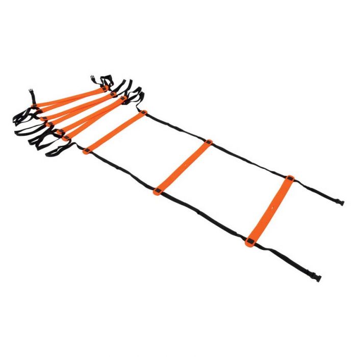 Precision Pro 2 Metre Speed Ladder