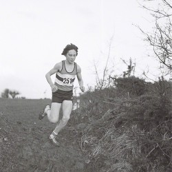 Marcus O'Sullivan